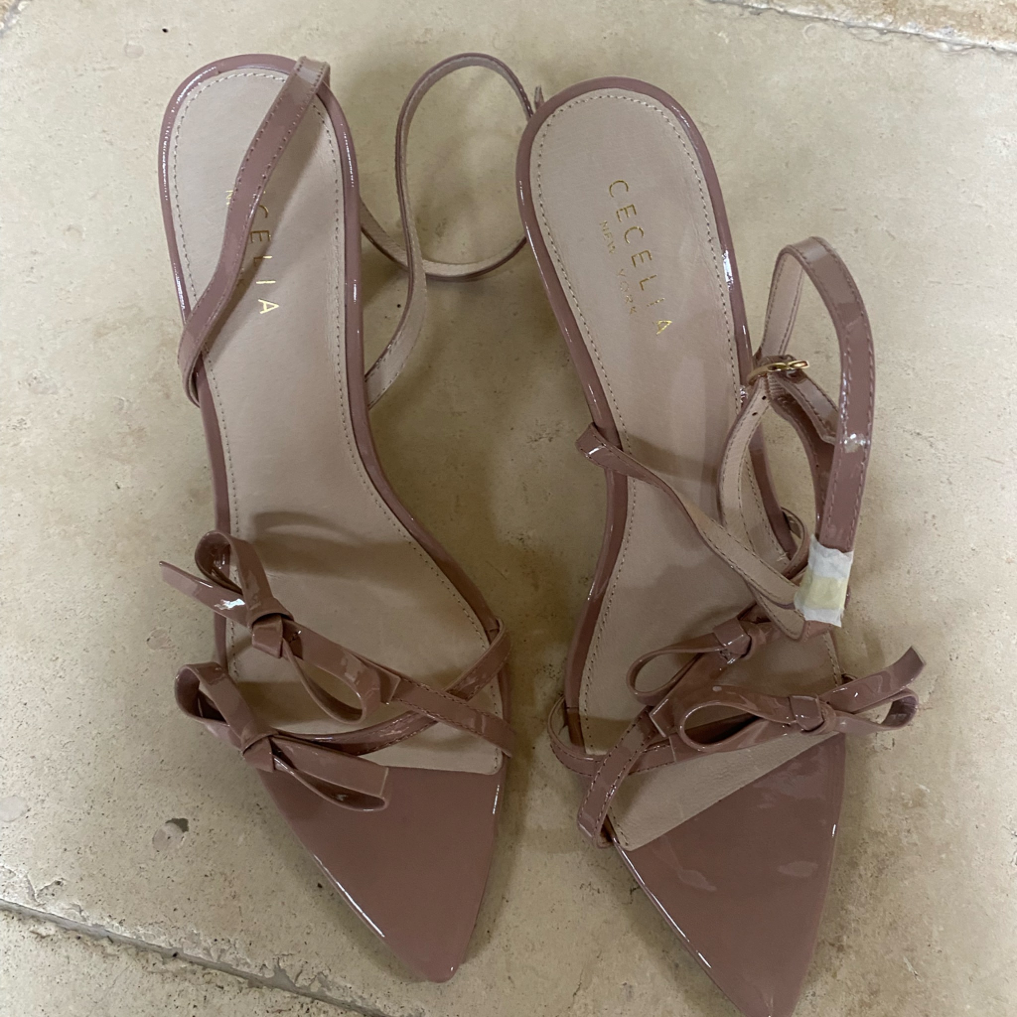 Cecelia New York Aquatine Pointed Toe Ankle Strap In Taupe